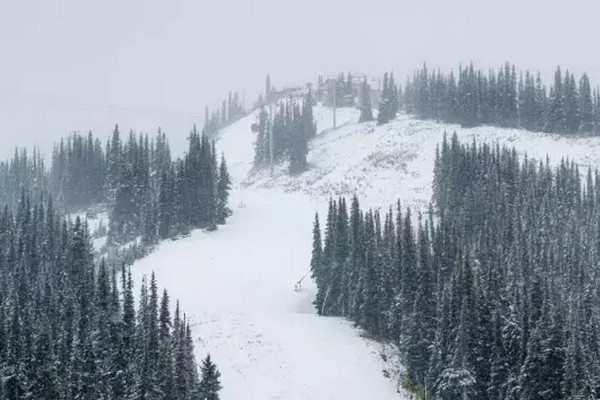 缩略图 | 加拿大滑雪胜地突发雪崩，五人被大雪淹埋！