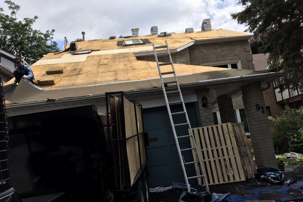 缩略图 | 爱远家屋顶 (Lovely Home Roofing)